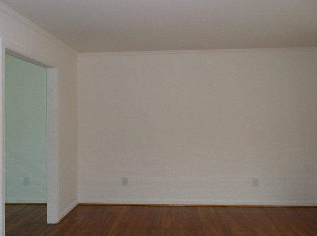Gallery Photo 12